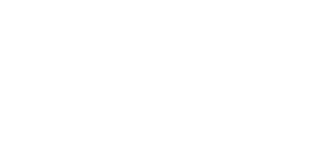 make-a-wish-logo-web